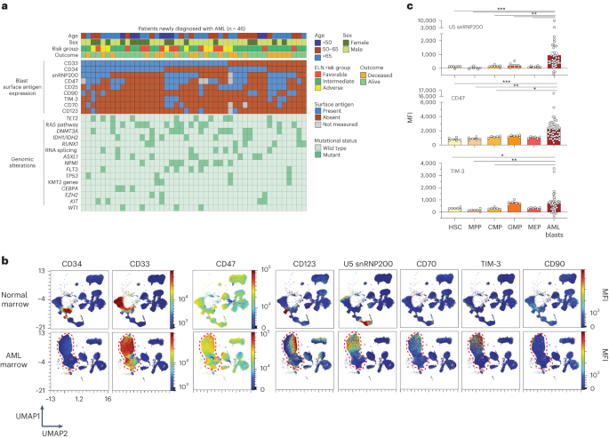 Systematic evaluation of AML-associated antigens identifies anti-U5 SNRNP200 therapeutic antibodies for the treatment of acute myeloid leukemia