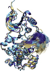 Activation Loop Plasticity and Active Site Coupling in the MAP Kinase, ERK2