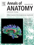 The advantages of utilizing different ultrasound imaging techniques on joints of human cadavers in the teaching of anatomy – a scoping review