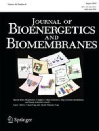DMPP attenuates lipopolysaccharide-induced lung injury by inhibiting glycocalyx degradation through activation of the cholinergic anti-inflammatory pathway