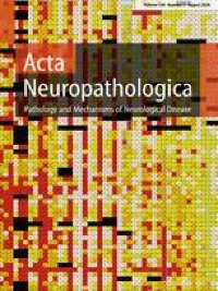 Independent prognostic impact of DNA methylation class and chromosome 1p loss in WHO grade 2 and 3 meningioma undergoing adjuvant high-dose radiotherapy: comprehensive molecular analysis of EORTC 22042–26042