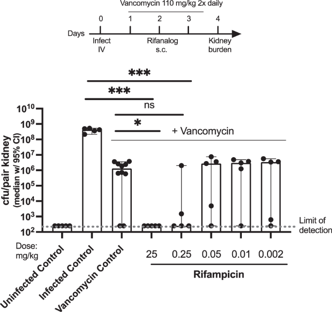 Potent Rifampicin derivatives can clear MRSA infections at single low doses when concomitantly dosed with Vancomycin
