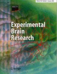 Space for power: feeling powerful over others’ behavior affects peri-personal space representation