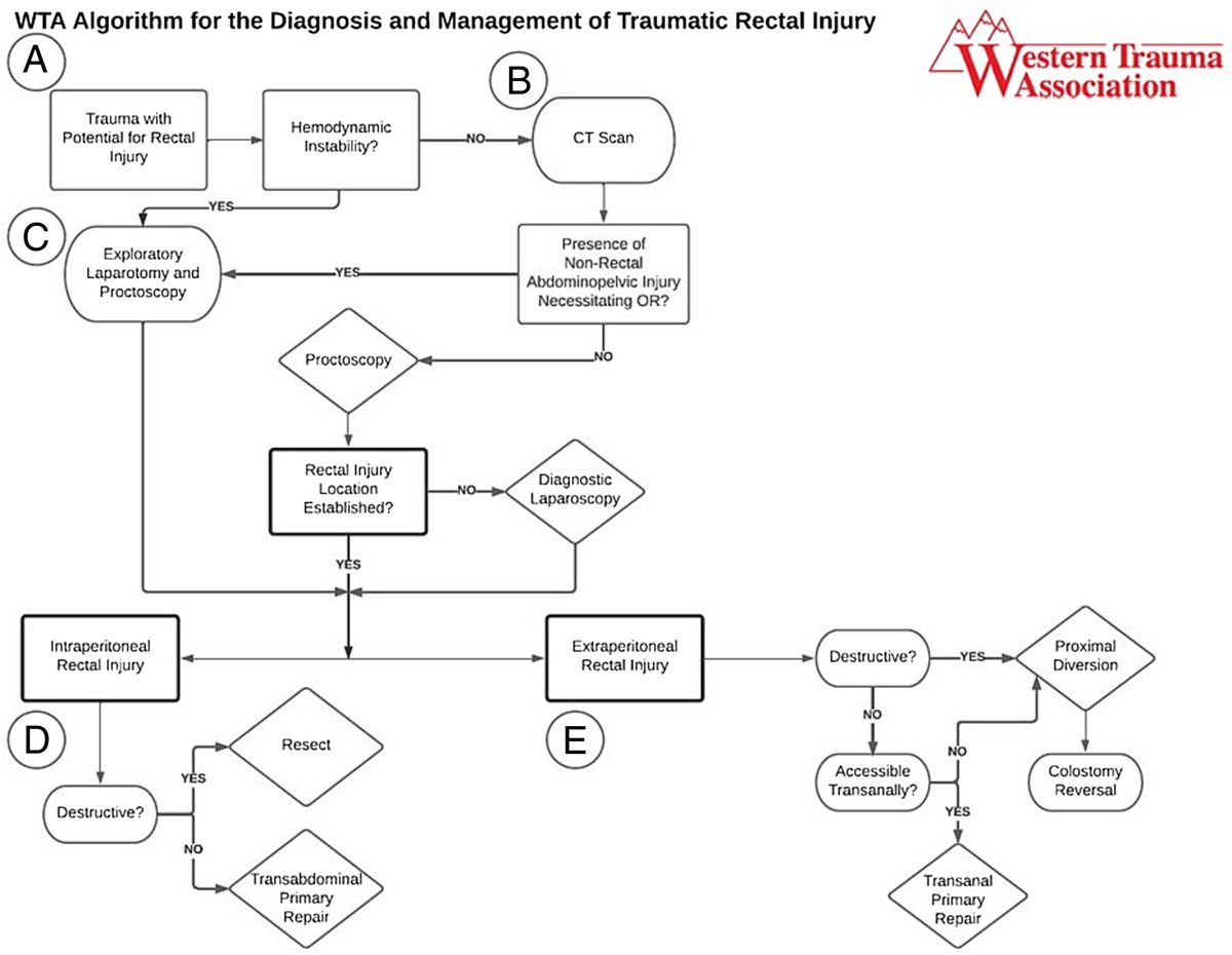 Diagnosis and management of traumatic rectal injury: A Western Trauma Association critical decisions algorithm