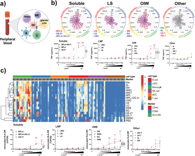 Human in vitro modeling of adjuvant formulations demonstrates enhancement of immune responses to SARS-CoV-2 antigen