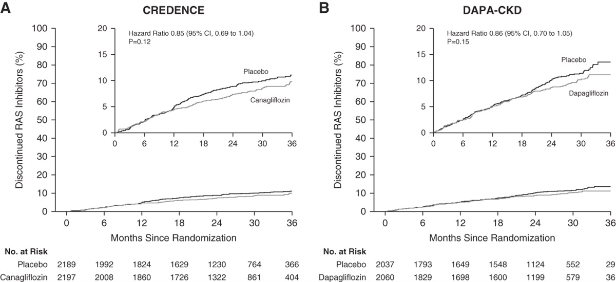 Effect of SGLT2 Inhibitors on Discontinuation of Renin–angiotensin System Blockade: A Joint Analysis of the CREDENCE and DAPA-CKD Trials