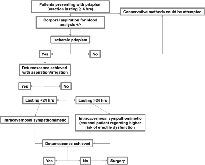 Penile implants in low flow priapism