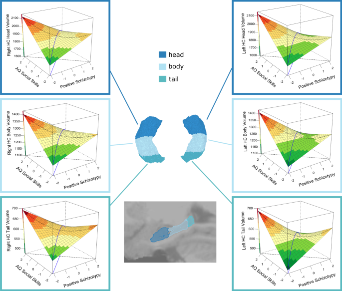 Modelling the overlap and divergence of autistic and schizotypal traits on hippocampal subfield volumes and regional cerebral blood flow