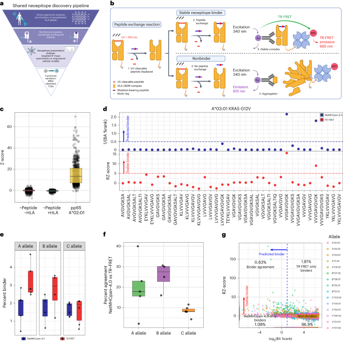 Systematic discovery of neoepitope–HLA pairs for neoantigens shared among patients and tumor types