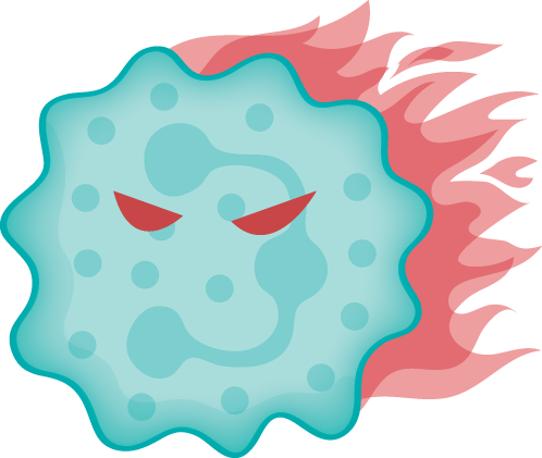 Inflammatory neutrophils