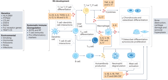 Immune mechanisms of depression in rheumatoid arthritis