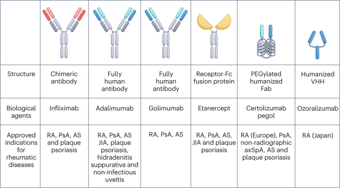 25 years of biologic DMARDs in rheumatology