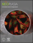 Mitochondrial adaptation decreases drug sensitivity of persistent triple negative breast cancer cells surviving combinatory and sequential chemotherapy