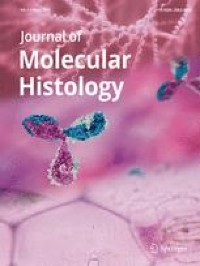 LOC102549726/miR-760-3p network is involved in the progression of ISO-induced pathological cardiomyocyte hypertrophy via endoplasmic reticulum stress