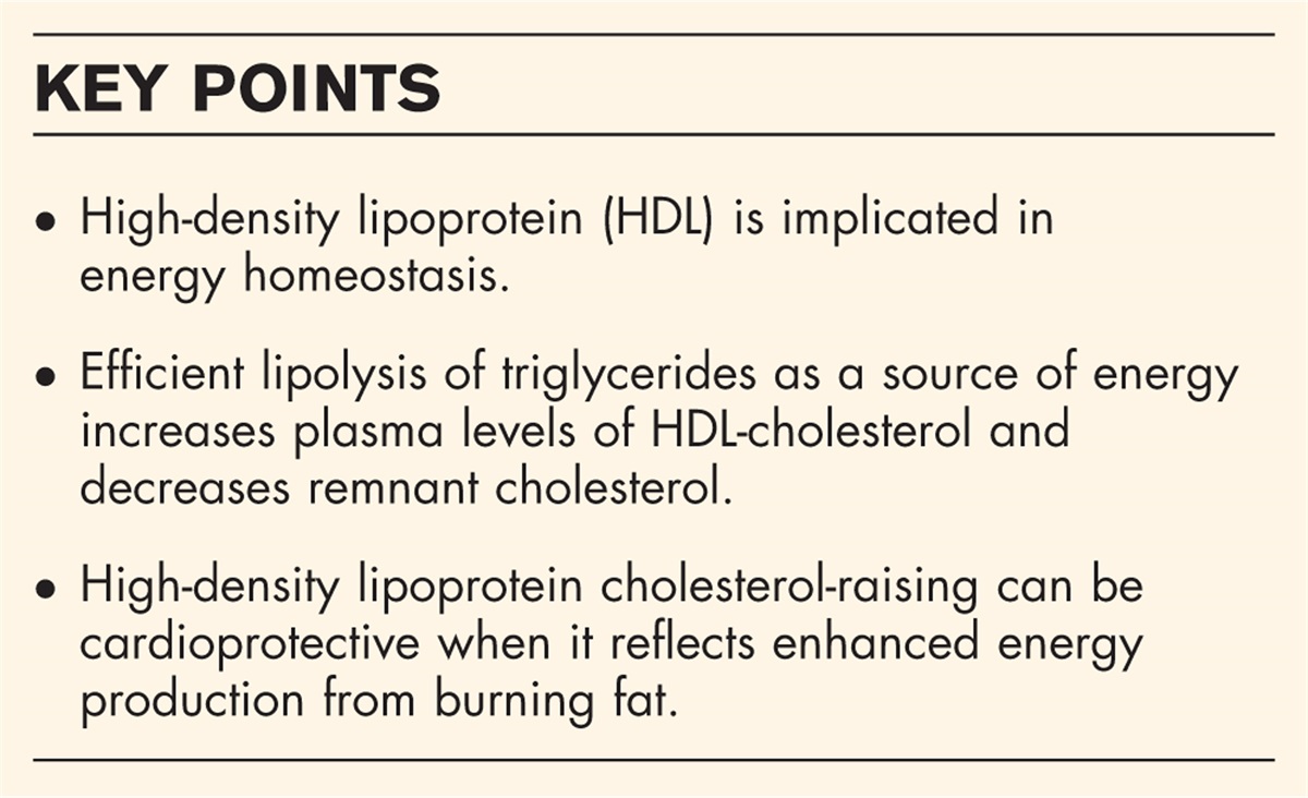 Sweet swell of burning fat: emerging role of high-density lipoprotein in energy homeostasis