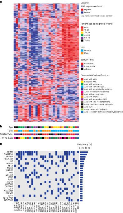 Imetelstat-mediated alterations in fatty acid metabolism to induce ferroptosis as a therapeutic strategy for acute myeloid leukemia