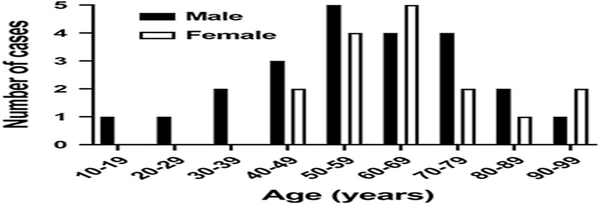 Subcutaneous Leiomyosarcoma: An Aggressive Malignancy Portending a Significant Risk of Metastasis and Death