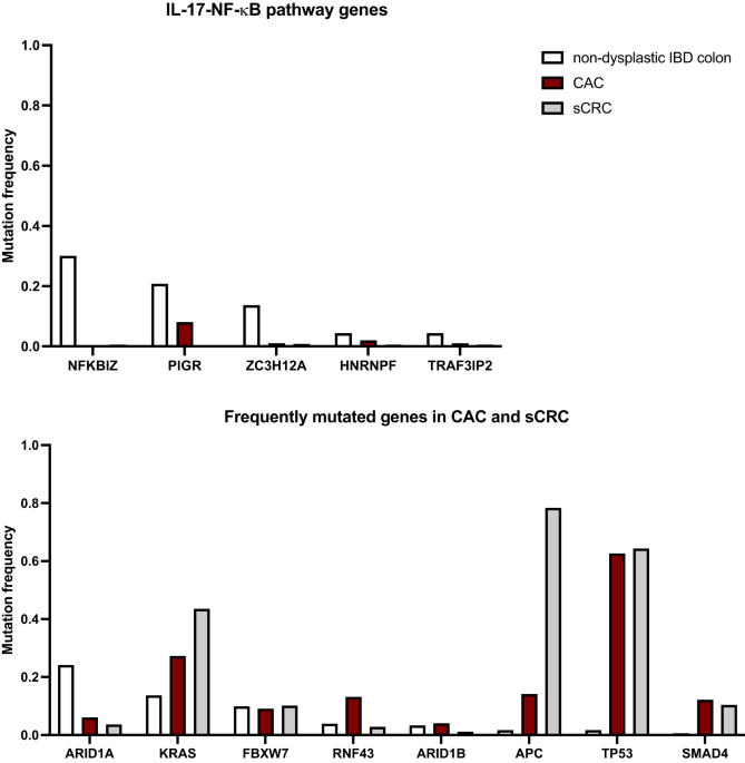 Molecular mechanisms in colitis-associated colorectal cancer