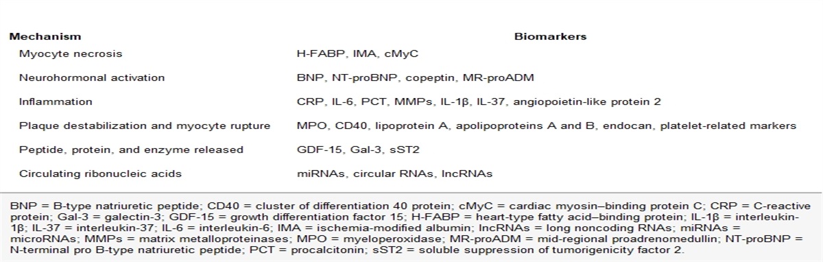 Recent advances in the diagnosis and management of acute myocardial infarction