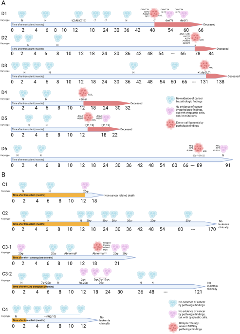 Donor cell-derived genetic abnormalities after sex mismatched allogeneic cell transplantation: a unique challenge of donor cell leukemia