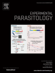 TLR2, TLR3, TLR4, TLR9 and TLR11 expression on effector CD4+ T-cell subsets in Leishmania donovani infection