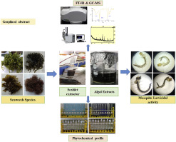 Evaluation of Brown and red seaweeds-extracts as a novel larvicidal agent against the deadly human diseases-vectors, Anopheles stephensi, Aedes aegypti and Culex quinquefasciatus