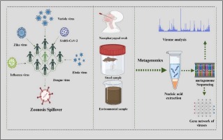 Metagenomics in the fight against zoonotic viral infections: A focus on SARS-CoV-2 analogues