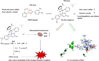 Design, synthesis and anticancer evaluation of novel half-sandwich Ru(II) complexes bearing pyrazalone moiety: Apoptosis inducers based on mitochondrial dysfunction and G0/G1 arrest
