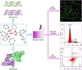 Synthesis, structure and biological activity of silver(I) complexes containing triphenylphosphine and non-steroidal anti-inflammatory drug ligands