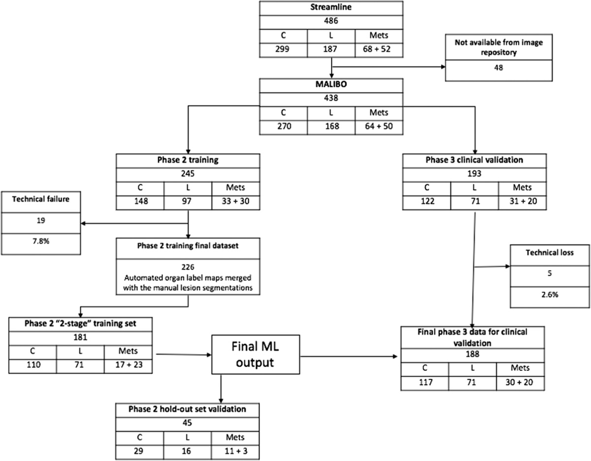Development and Evaluation of Machine Learning in Whole-Body Magnetic Resonance Imaging for Detecting Metastases in Patients With Lung or Colon Cancer: A Diagnostic Test Accuracy Study