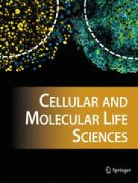 SRSF1 is essential for primary follicle development by regulating granulosa cell survival via mRNA alternative splicing