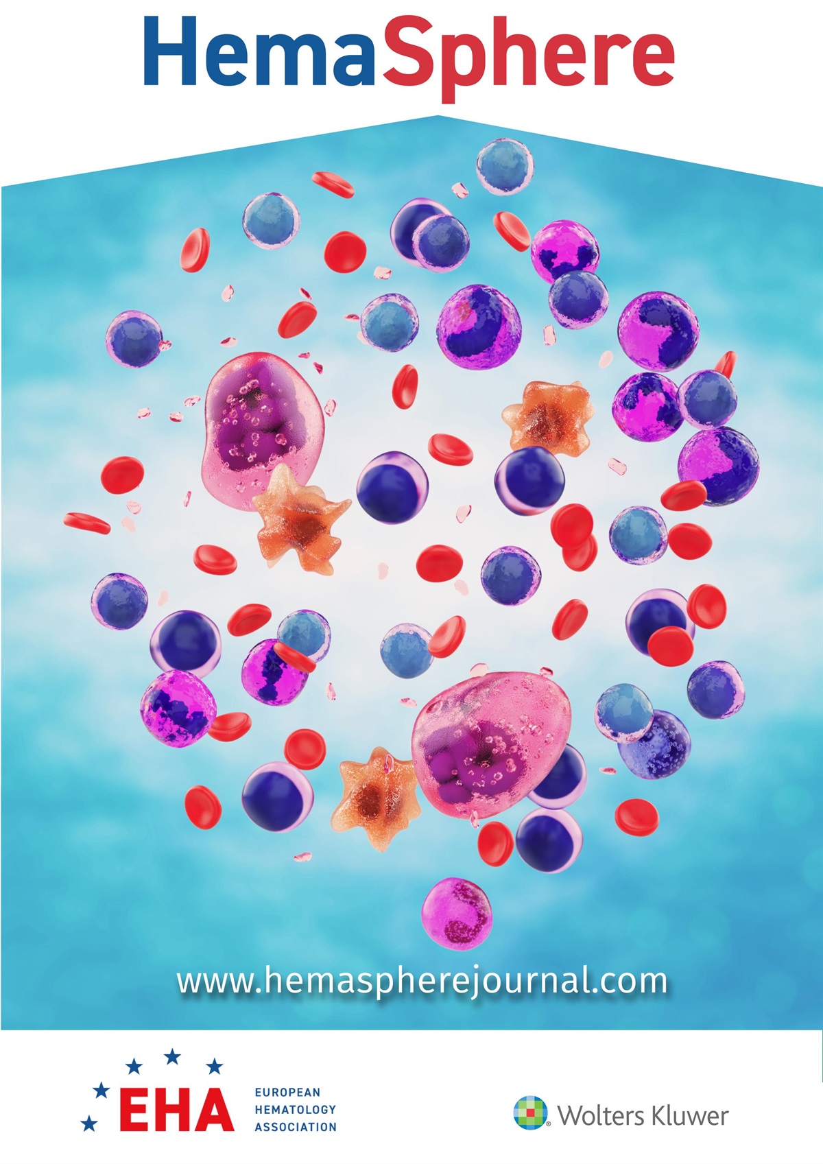 Correction Notice – Isavuconazole in Hematological Patients: Results of a Real-Life Multicentre Observational Seifem Study