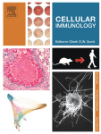 Dexamethasone alleviates pulmonary sarcoidosis by regulating the TGF-β/Smad3 signaling to promote Th17/Treg cell rebalance