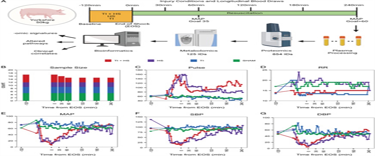 Omics Signatures of Tissue Injury and Hemorrhagic Shock in Swine