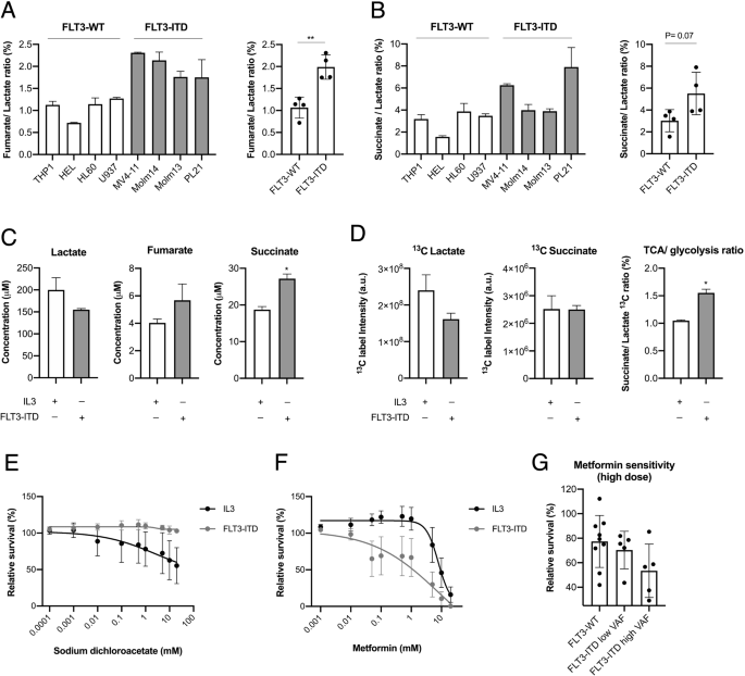 PDP1 is a key metabolic gatekeeper and modulator of drug resistance in FLT3-ITD-positive acute myeloid leukemia