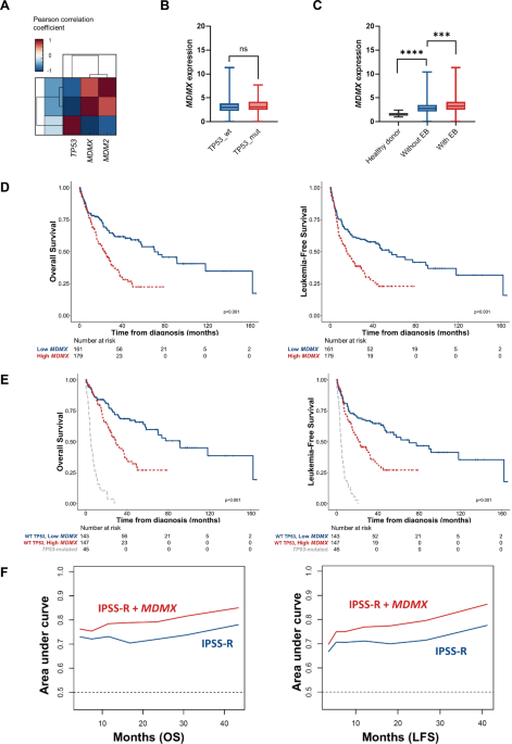 Higher MDMX expression was associated with hypomethylating agent resistance and inferior survival in MDS patients, inferring it a potential therapeutic target
