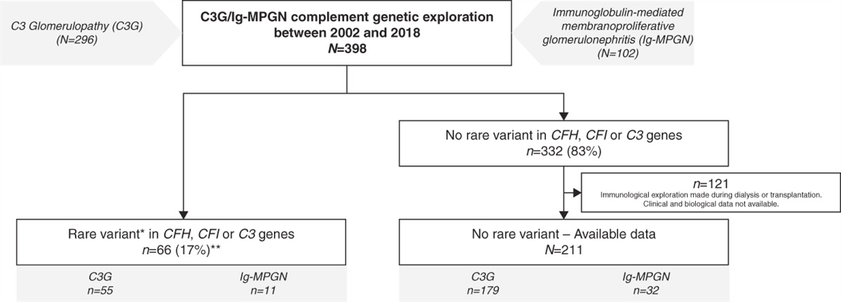 Rare Variants in Complement Gene in C3 Glomerulopathy and Immunoglobulin-Mediated Membranoproliferative GN