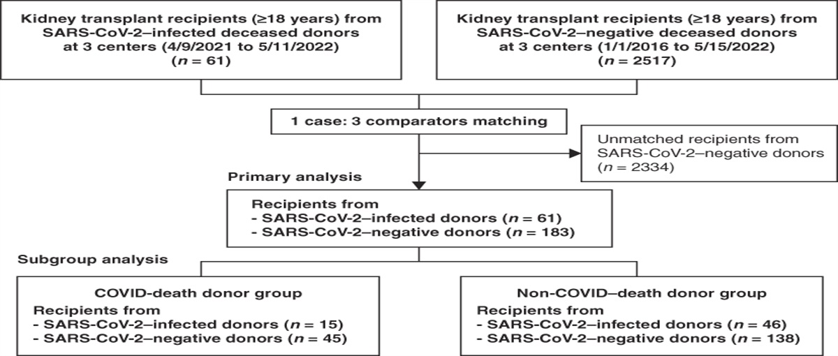 Comparison of Short-Term Outcomes in Kidney Transplant Recipients from SARS-CoV-2–Infected versus Noninfected Deceased Donors