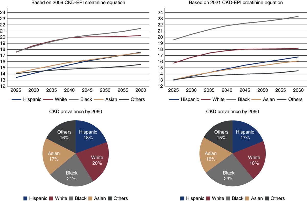 Race-Free Creatinine-Based Estimation of GFR and Projection of CKD to 2060 in the United States