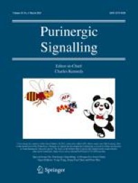 Preclinical evaluation of bozepinib in bladder cancer cell lines: modulation of the NPP1 enzyme