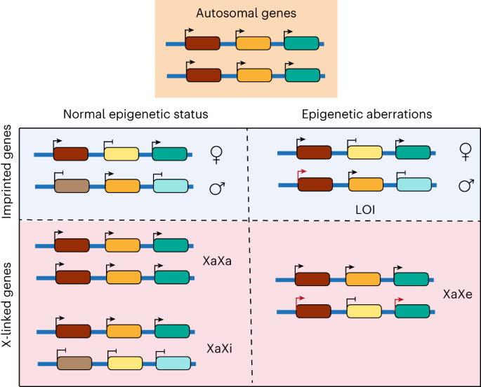 EpiTyping: analysis of epigenetic aberrations in parental imprinting and X-chromosome inactivation using RNA-seq