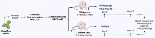 Sub-acute toxicity evaluation of aqueous leaf extract from Passiflora edulis Sims f. edulis (Gulupa) in Wistar rats