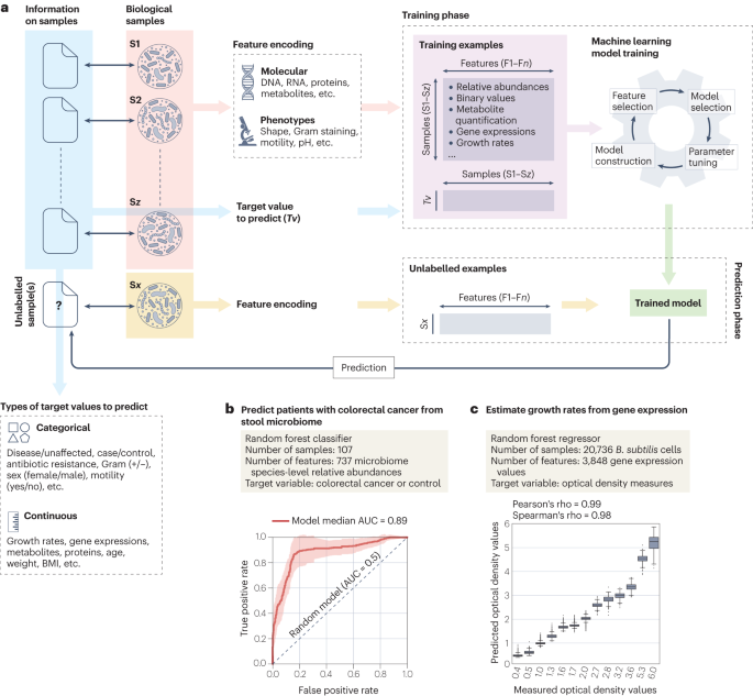 Machine learning for microbiologists