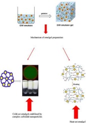 A comparative study of the impacts of preparation techniques on the rheological and textural characteristics of emulsion gels (emulgels)