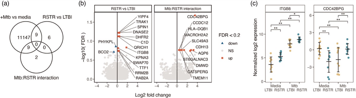 Mycobacterium tuberculosis-induced monocyte transcriptional responses associated with resistance to tuberculin skin test/interferon-γ release assay conversion in people with HIV