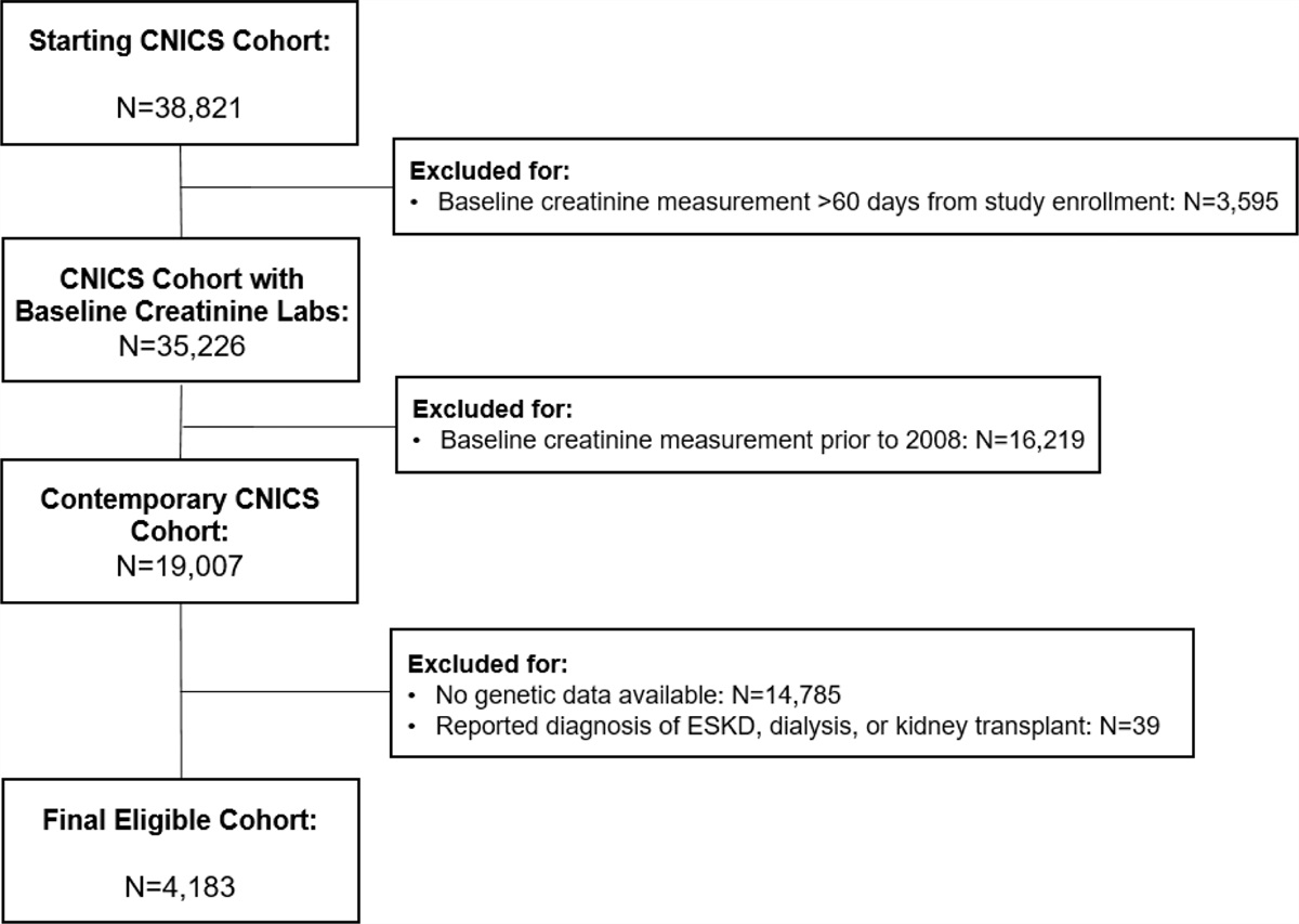 African American/Black race, apolipoprotein L1, and serum creatinine among persons with HIV