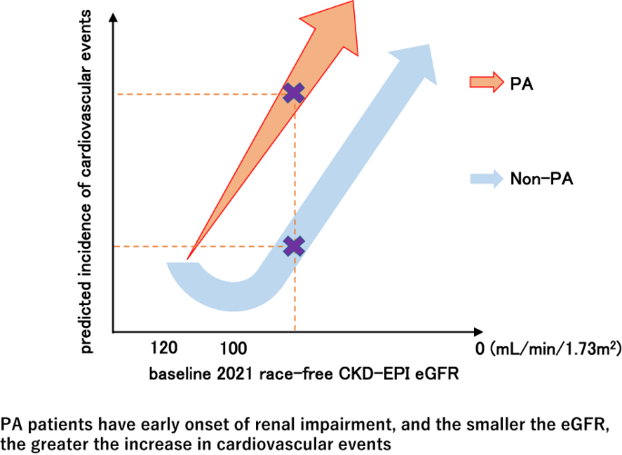 No “U-shaped” associations of estimated glomerular filtration rate with adverse cardiovascular outcomes in patients with primary aldosteronism