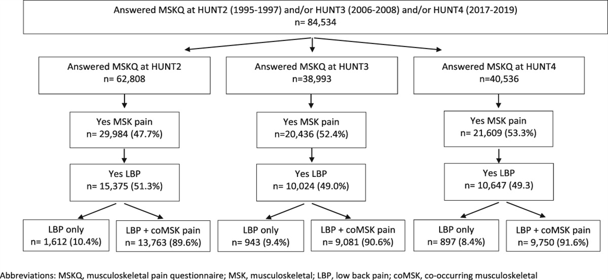 Temporal stability in the prevalence and pattern of co-occurring musculoskeletal pain among people with persistent low back pain: population-based data from the Norwegian HUNT Study, 1995 to 2019