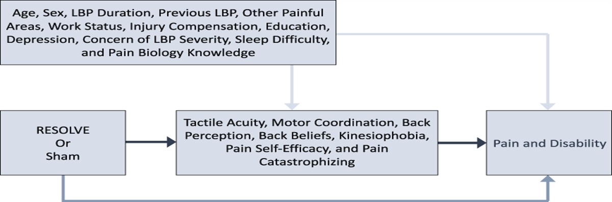 Mechanisms of education and graded sensorimotor retraining in people with chronic low back pain: a mediation analysis