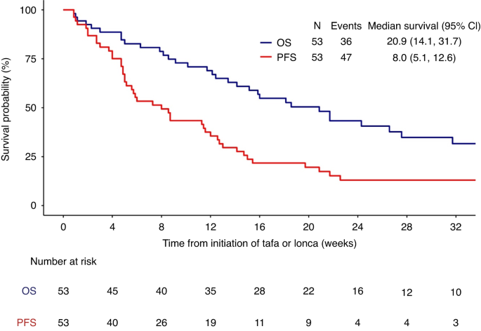 Efficacy of CD19 directed therapies in patients with relapsed or refractory large b-cell lymphoma relapsing after CD19 directed chimeric antigen receptor T-cell therapy